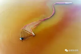 瞧，小小盐虫成运城农民增收大产业图片