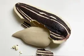 在嗑瓜子这件事上，古人和今人有什么不一样？万历皇帝最喜欢图片