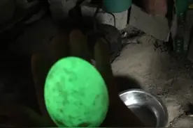 男子捡回一颗发光“鸭蛋”，众人一看羡慕不已图片