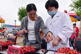 河南孟津常袋镇：小樱桃结出群众致富“金果果”图片
