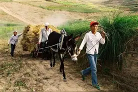 “三月怕三七，四月怕初一”，讲了哪些道理呢？图片