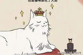 猫对人没什么感情，跟着你就是为了混饭吃图片