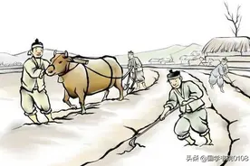 农谚精选1000则（下）：青蛙呱呱叫，正好种早稻图片