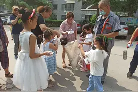 石家庄：小朋友捡垃圾大比拼图片