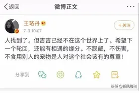 一只宠物鸭引发的全民大讨论图片