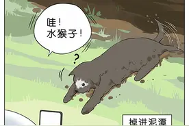 漫画 水猴子图片