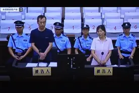 某航空研究所副总师掌握大量机密，叛逃对我国军事安全造成重大威胁图片