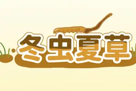 为什么现在没人炒冬虫夏草了？图片