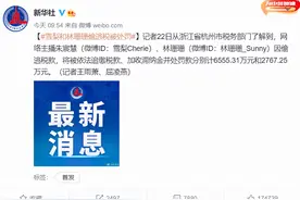 雪梨和林珊珊偷逃税被罚超9000万！官方：还有其他主播正在稽查中图片