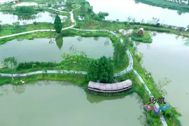 坚持生态优先：运河三湾的“华丽转身”图片