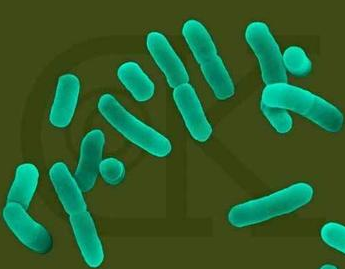 高中生物学习经验分享