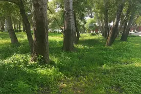 酒是穿肠毒药图片