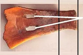 源文析字：天天自称“我”，可知道「我」字最初是什么意思？图片