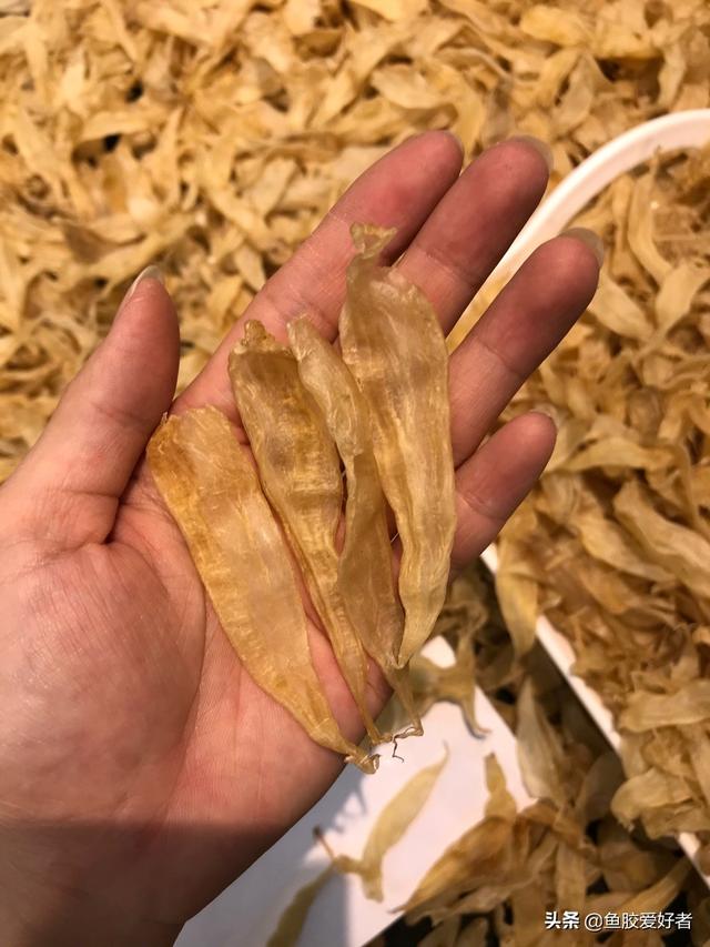 豆仁胶是什么鱼的 2026年豆仁鱼胶有什么营养价值