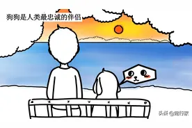 狗为什么可以成为人类最忠实的朋友？它和人之间到底发生了什么？图片