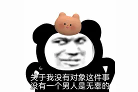 搞笑表情包：关于我没对象这件事，没有一个男人是无辜的图片