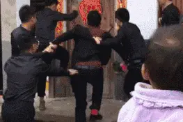 十六张GIF搞笑趣图。这野猪太嚣张了，光明正大的带族群搞迁移图片