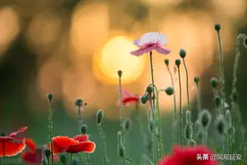 你喜欢的东西买的起么？道德吗？信息有回吗？图片