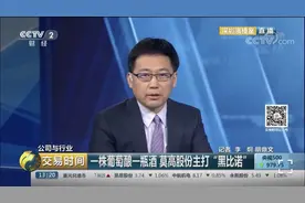 一棵葡萄树酿造一瓶酒,独具特色的莫高黑比诺图片