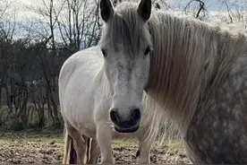 31张有趣的错觉照片：仿佛世界出现了BUG图片