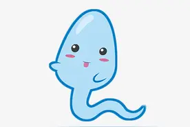 男人的“小蝌蚪”，大约一次排出多少个？如何提高它们的质量图片