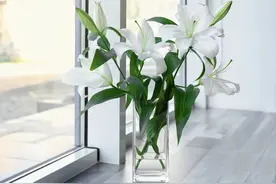 女人的三块“地”，如果你不在乎，别人会为你犁地​图片