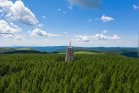 夏天去哪里避暑？距离北京400公里的塞罕坝是真正的避暑胜地图片