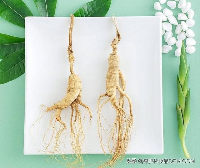 都泉氨基酸无香滋养洗发水--出油枯草头塌塌头救星