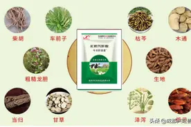 牛羊 | 光吃不长、夏季流产死胎增加？别怕！牛羊肝肾康来帮你图片
