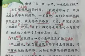 二年级语文下册第十一课《我是一只小虫子》随堂笔记，复习专用图片