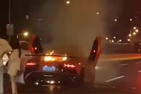 租金一天1万3，租来的800万“大牛”半路自燃，租客淡定围观图片