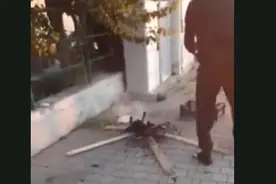 触目惊心！意大利男子捕杀猫咪当街烧烤：猫四脚朝天全身焦黑图片