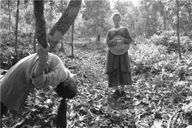 肖全镜头下的萝莉塔，比日本情色大师只高不低图片