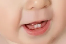 宝宝牙齿萌发期，宝妈辅食安排要有招数，牙齿长得好，营养不能少图片
