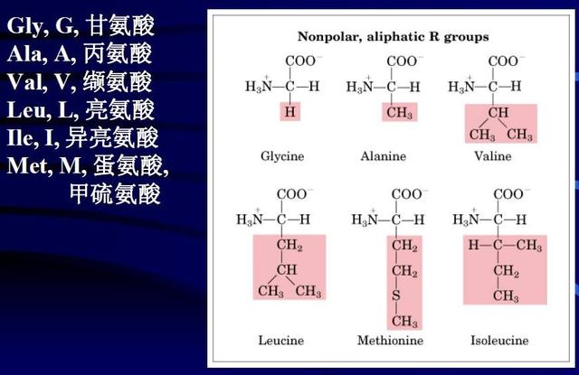 鏂板瀷鍐犵姸鐥呮瘨71锛?0绉嶆皑鍩洪吀锛岀敇姘ㄩ吀锛屼笝姘ㄩ吀