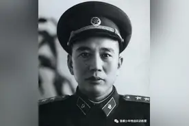 王震征战南阳：蒋介石制定计划扬言活捉王震图片