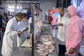 去年中国肉类消费9000余万吨 超过欧盟和美国的总和图片