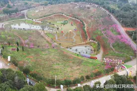 湘潭县：桃花竞相开放“醉”春天 桃花谷等你来打卡图片