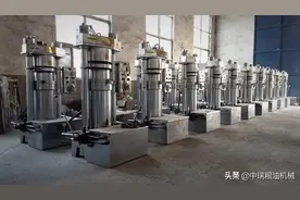 全自动榨油机图片