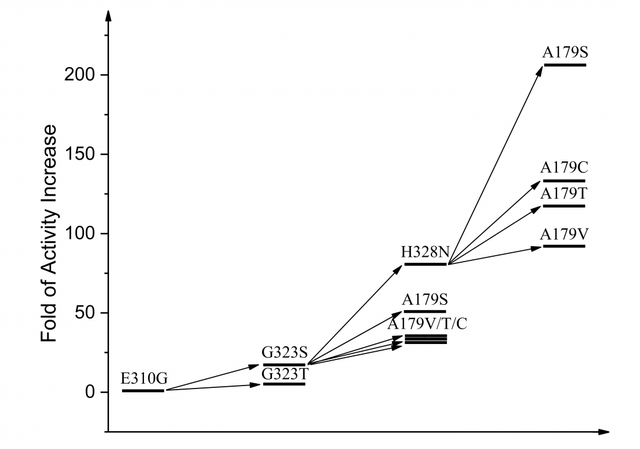 β-氨基酸脱氢酶的催化机理、理性设计及合成应用最新进展