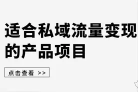 盘点：适合做私域流量的运营项目图片