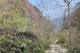 终南隐士精通琴棋书画，长安雅士擅长诗词歌赋图片