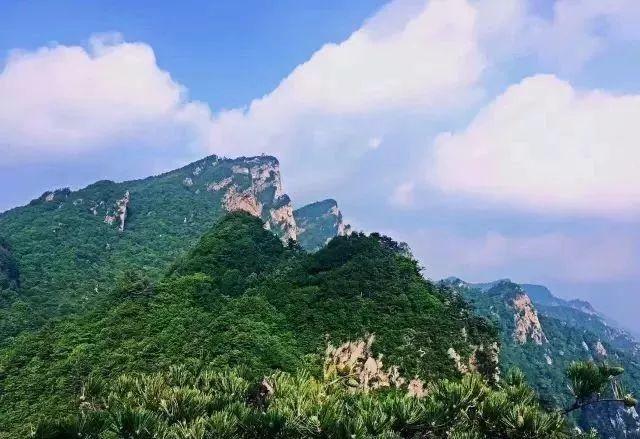 郑万高铁开通，南阳是最大赢家