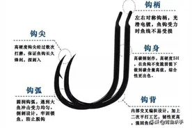 解析——钓青鱼“大物鱼钩”的选择有何注意点，如何正确的去选择图片