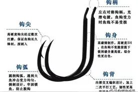 解析——钓青鱼“大物鱼钩”的选择有何注意点，如何正确的去选择图片