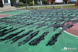 案值436万！鳄鱼皮铺满篮球场……你深爱的这类皮包，其实美丽得很血腥图片