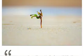 凌晨三点，我看到了8000万年轻人最不堪的一面图片