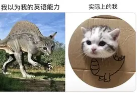 澳洲留学第一年的17个“社死”名场面图片