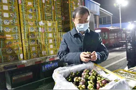 今年首批空运印尼山竹率先在新发地市场上市图片