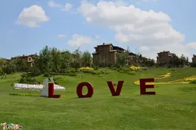 碧桂园的房子，优点缺点都很突出图片